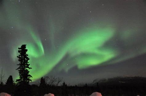 aurora borealis forecast whitehorse